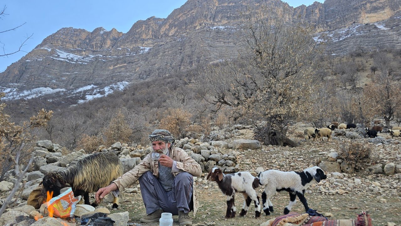 Iran Nomadic Life Jahangir S Journey To The Snowy Mountains To Graze
