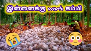 இன்னைக்கு work கம்மி ‎@saravanavlog village farming vlog | village life in tamil nadu |