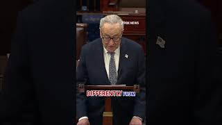 Schumer: They've arrested a journalist for the crime of doing his job
