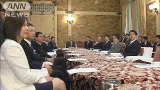 投票年齢「18歳以上」へ　国民投票法改正で合意(14/04/04)