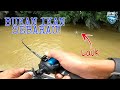 Casting Ikan lampam dan ikan Lawang  #vlog198 Scissortail Rasbora