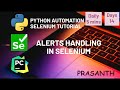 Day 14 Handle Alerts | Selenium Python Automation Tutorial #python #selenium #alert #software