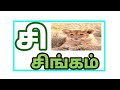 ச சா சி சீ உயிர்மெய் எழுத்துகள் uyirmei ezhuthukkal learn tamil letters for kids மழலை chutties.