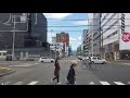 札幌市中央区　東橋交差点～国道12号～時計台の鐘～駅前通交差点　ドライブ2019