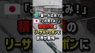 🌏「雪…大丈夫？」🇯🇵「これ見てみ！」積雪対策のリーサルウェポンに…世界が驚愕　#海外の反応