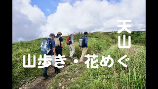 天山・山歩き　花巡り＃2021