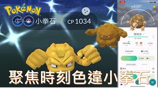 入手色違小拳石在8月份最後一個寶可夢聚焦時刻pokemon go2020/08/25