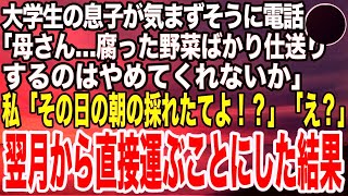 【スカッとする話】一人暮らしの大学生の息子から電話「母さん、腐った野菜の仕送りはいい加減やめてくれ！」私「え、いつもその日の朝採れ野菜よ？！」息子「え？」私は速攻でとある場所へ向かい…