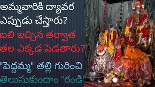 peddamma thalli temple అమ్మవారికి బలిచ్చిన తలని ఎక్కడ పెడతారు? ఆర్లగడ్డ (తాలూకా)