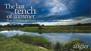 The last tench of summer: float fishing on the Sussex Levels