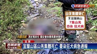 宜蘭山區山羌集體死亡 疑天冷暴斃－民視新聞