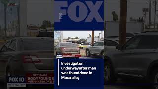 Body found in Mesa alley | FOX 10 Phoenix