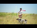 hunting dog training steady on running birds step 9