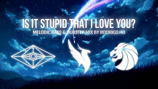 Is It Stupid That I Love You? | ILLENIUM, SLANDER, SEVEN LIONS Inspired Mix