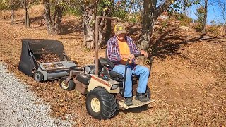 Harvesting leaves for the garden