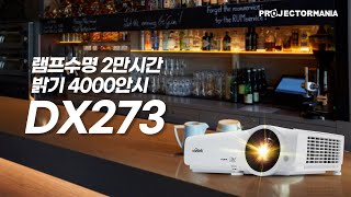 ★치킨집에는 프로젝터 필수죠!!★ 램프 시간이 무려 2만 시간!! 최고의 가성비 비비텍 DX273 설치 후기