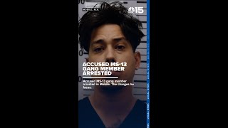 Accused MS-13 member nabbed in Mobile - WPMI NBC 15