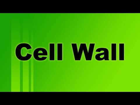 How would you use cell wall in a sentence?