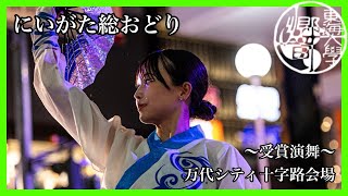 【公式】　東海大学響　『結晴』　にいがた総おどり　万代シティ十字路会場　〜受賞演舞〜