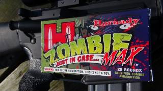 ZOMBIE MAX!!!  .223 Remington 55 gr Z-MAX Ammo Test