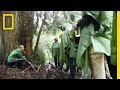 BioBlitz Finds 2,300+ Species in Golden Gate Parks | National Geographic