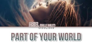 Part Of Your World By Halle Bailey (From The Little Mermaid) (Colour Coded Lyrics)