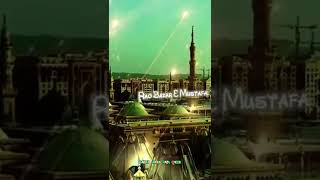 Rok Leti Hai Aap Ki Nisbat || Sayyed Aarif Qadri | 💯 love of prophet Muhammad #shorts