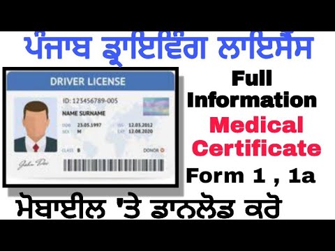 Punjab Driving Licences Medical Certificate Form 1 And Form 1a ...