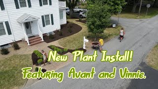 New Landscape Install (Using the Avant and Vinnie!!!)