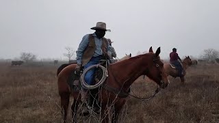 Black cowboys in Matagorda Co: The tough life of a rancher