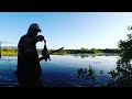 Cazeria de patos en Puerto Rico