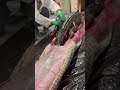 Gran Serpiente se traga un caimán 😱