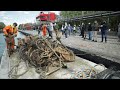River of rubbish: Can the Seine be ready for the 2024 Olympics?