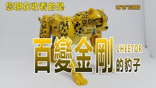 賢哥的玩具分享045 孩之寶 變形金剛 王國 D級 豹子 Hasbro Transformers Kingdom Deluxe Class CHEETOR ( BEAST WARS) 百變金剛