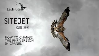 Learn how to change the PHP version on your domain using cPanel with Eaglecoast Hosting