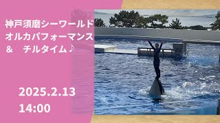 神戸須磨シーワールド　オルカパフォーマンス　＆チルタイム♪ 2025.2.13 14:00