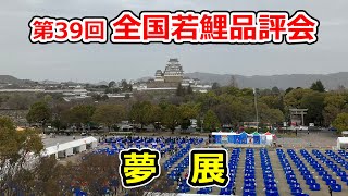 【夢展】第39回錦鯉全国若鯉品評会　2023年3月25、26日