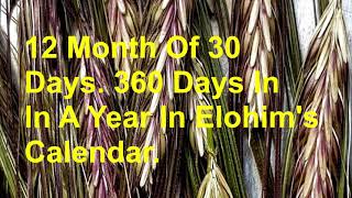 30 Days In A Month 360 Days In A Year Elohim's Calendar Amen !!!