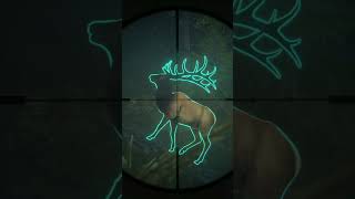 15 Meters from a MASSIVE ELK!!! - Call of the Wild #shorts