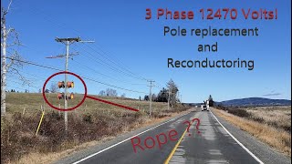 Pole/Conductor replacement on 3 phase line 12kv