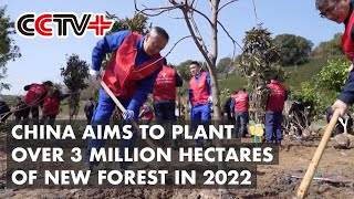 China Aims to Plant over 3 Million Hectares of New Forest in 2022