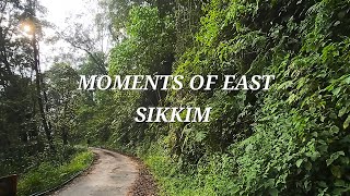 পূর্ব সিকিম আর উত্তর বঙ্গের কিছু মুহূর্ত । #northeast #northbengal #nature #mountains