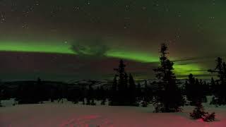 Aurora Fairbank 2019 Feb 4K