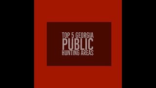 Top 5 Georgia Public Hunting Areas