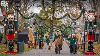 Season’s Greetings from ZSL!