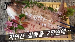 자연산 참돔이  2만원이라니 ~