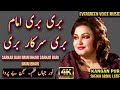 Noor jahan song | bari bari imam bari sarkar bari | qalandri dhamal | Punjabi song | remix song