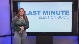 Louisiana Midterm Elections Guide