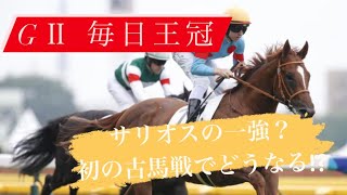 【GⅡ 毎日王冠】サリオス一強なの？馬場、初の古馬戦でどうなる？　#競馬　#サリオス