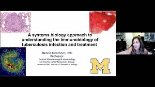 Systems biology approach to understanding the immunobiology of tuberculosis infection and treatment